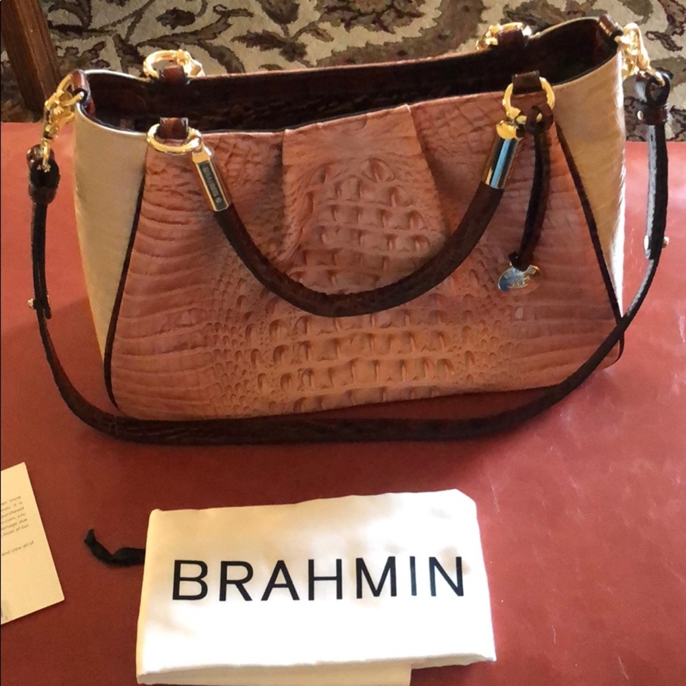 Beautiful Brahmin Bag!